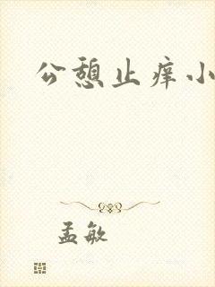 公憩止痒小说封面