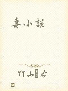 妻小说