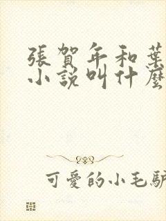 张贺年和叶繁姿小说叫什么名字