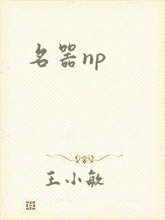 名器np