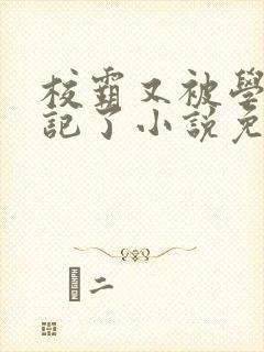 校霸又被学神标记了小说免费阅读