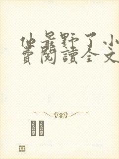 他最野了小说免费阅读全文