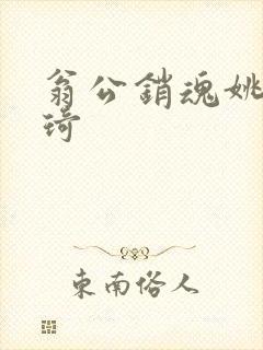 翁公销魂姚瑶琦琦封面