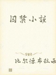 囚禁小说