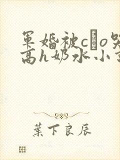 军婚被cαo哭高h奶水小说