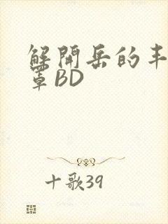 解开岳的丰满奶罩BD封面
