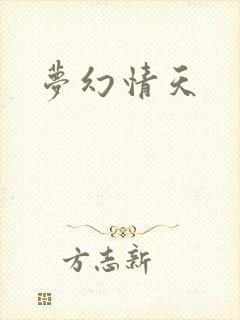 梦幻情天封面