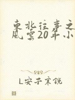 东北往事之黑道风云20年小说封面