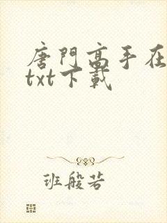 唐门高手在异世txt下载