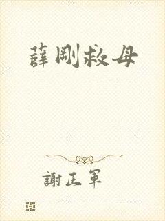 薛刚救母