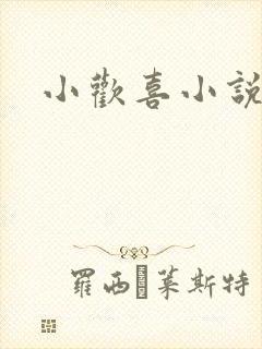 小欢喜小说