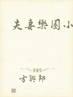 夫妻乐园小说封面