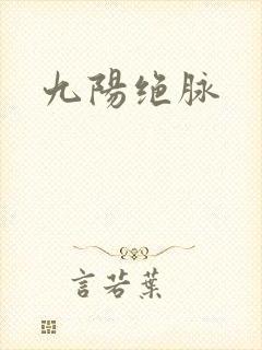 九阳绝脉封面
