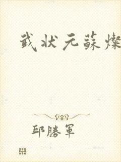 武状元苏灿封面
