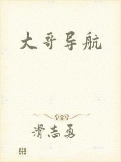 大哥导航