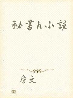 秘书h小说
