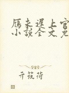 雁未迟上官穿越小说全文免费阅读封面