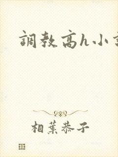 调教高h小说
