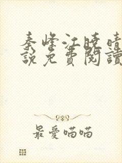 秦峰江晓晴的小说免费阅读封面