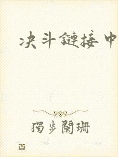决斗链接中文网
