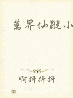 万界仙踪小说