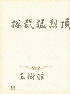 总裁猛烈顶弄h