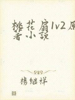 桃花扇1v2原著小说封面