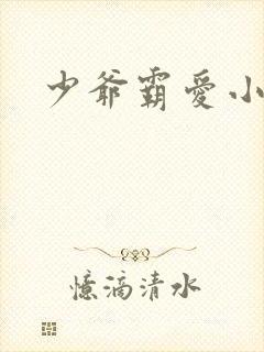 少爷霸爱小丫头