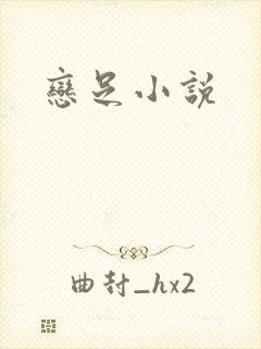 恋足小说
