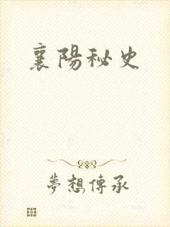 襄阳秘史封面