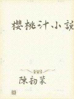 樱桃汁小说封面