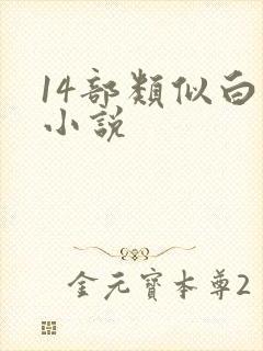 14部类似白洁小说封面