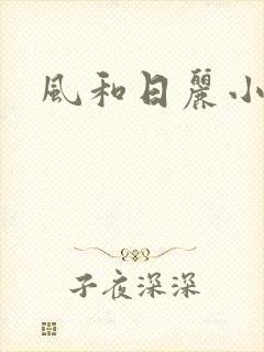 风和日丽小说