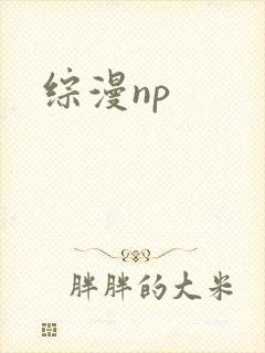 综漫np