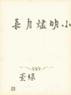 长月烬明小说封面