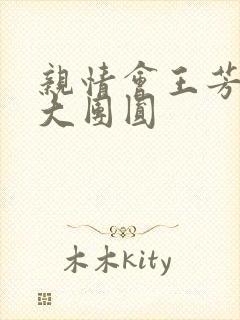 亲情会王芳高敏大团圆封面