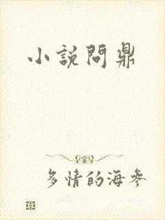 小说问鼎