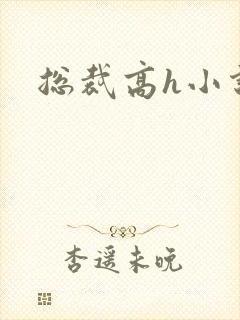 总裁高h小说