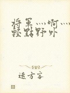 将军灬啊灬啊灬轻点野外封面