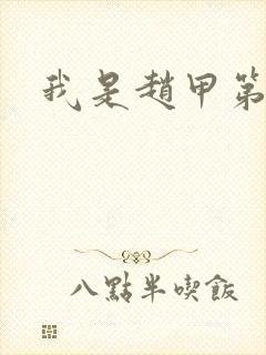 我是赵甲第小说