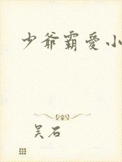 少爷霸爱小丫头