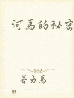 河马的秘密河封面