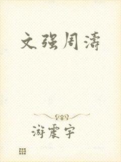文强周涛