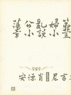 荡公乱妇第51章小说小莹