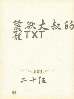 禁欲大叔的心尖宠TXT
