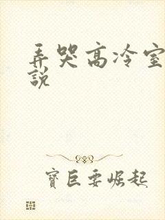 弄哭高冷室友小说