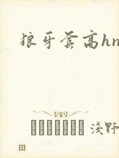 狼牙套高hnp