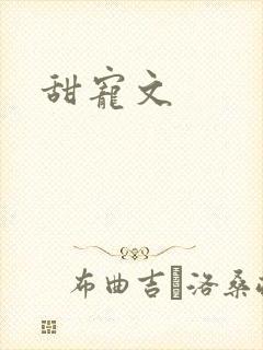甜宠文