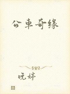 公车奇缘封面