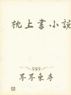 枕上书小说